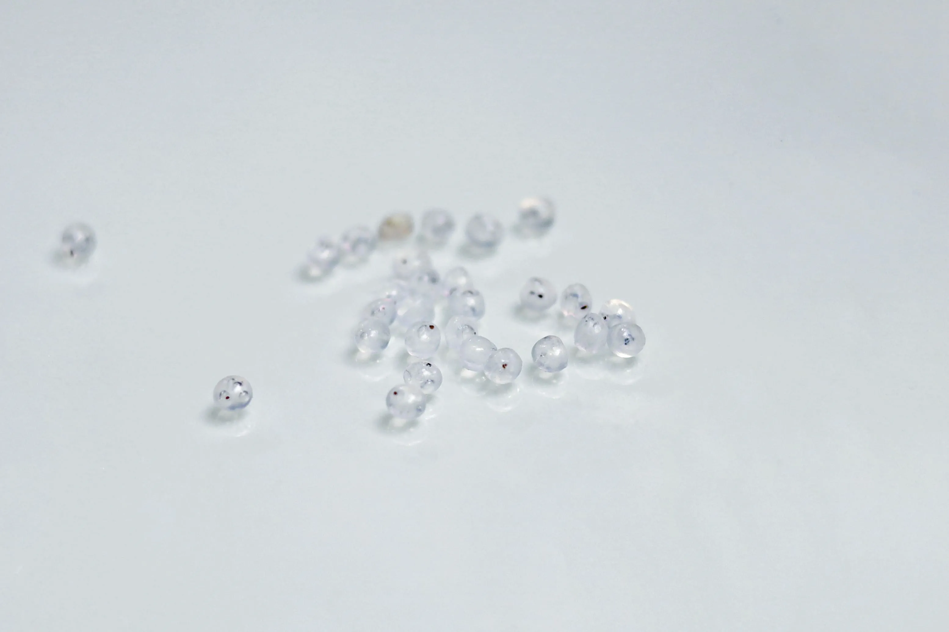 черная точка в грануле