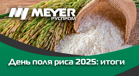 «День поля риса» в Краснодарском крае – точка пересечения науки, бизнеса и власти