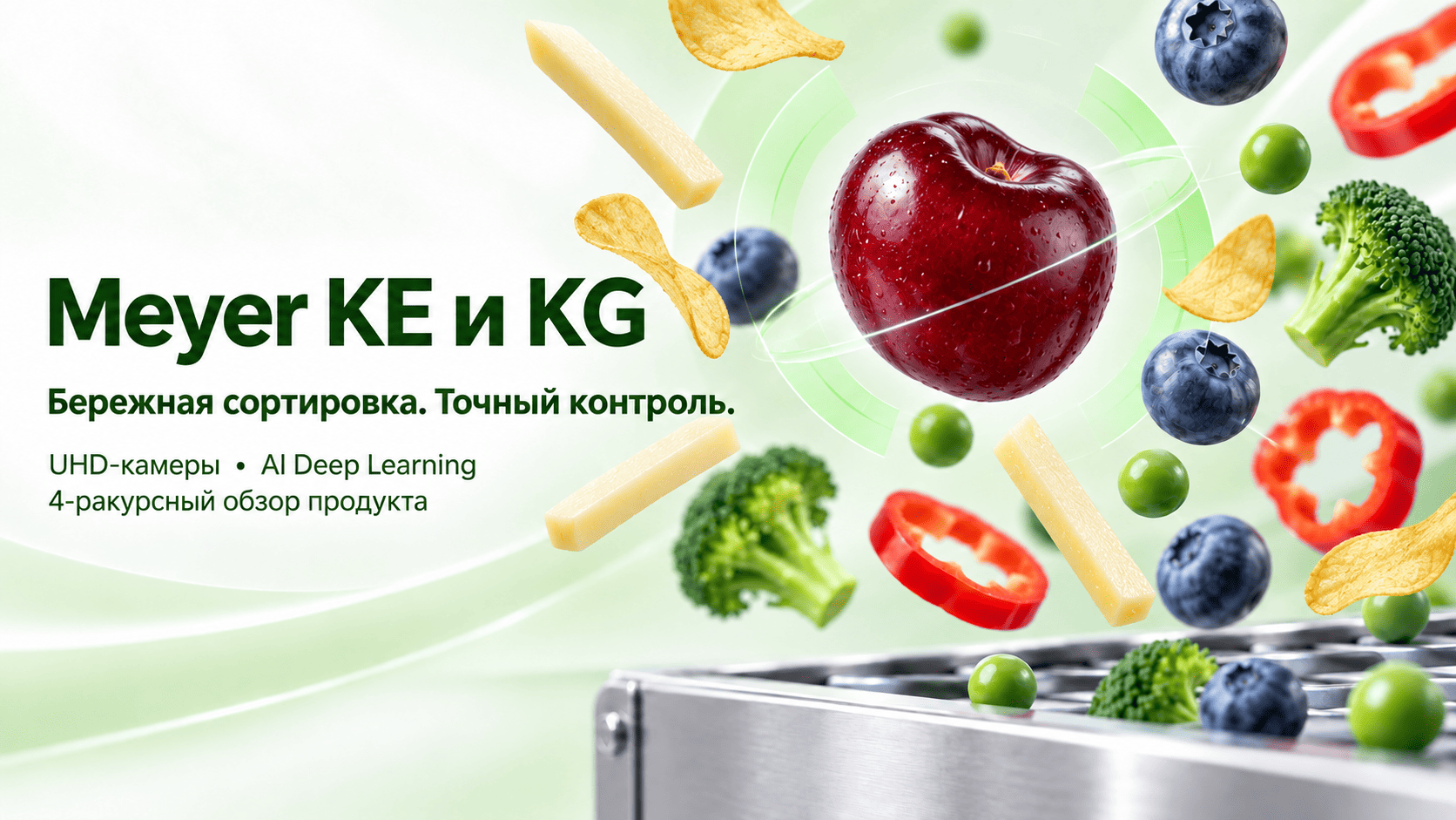 Meyer KE и KG: технологии сортировки свежих и замороженных ягод, овощей и фруктов