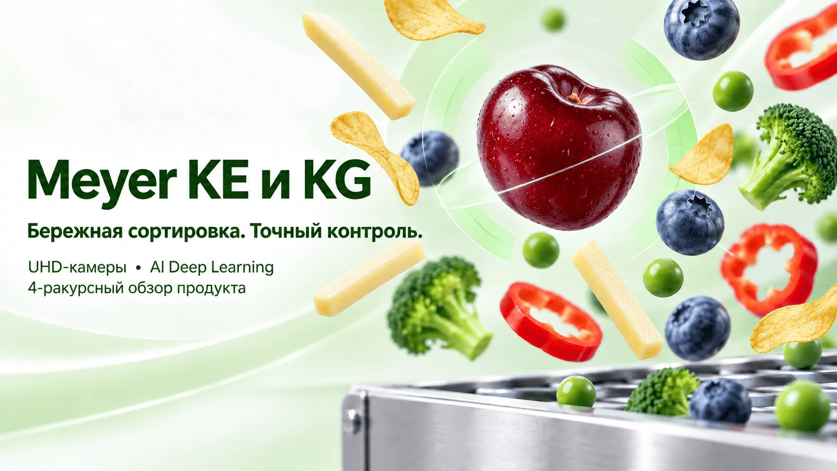 Meyer KE и KG: технологии сортировки свежих и замороженных ягод, овощей и фруктов