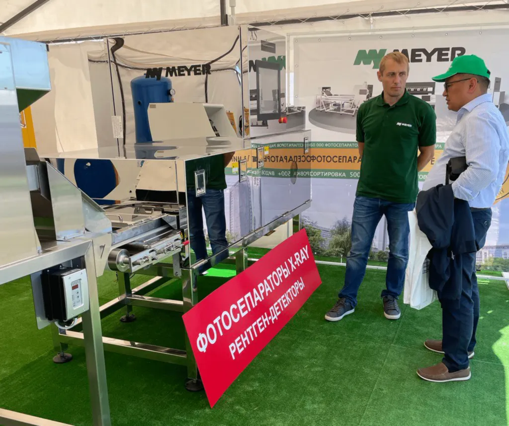 рентгент (1).png